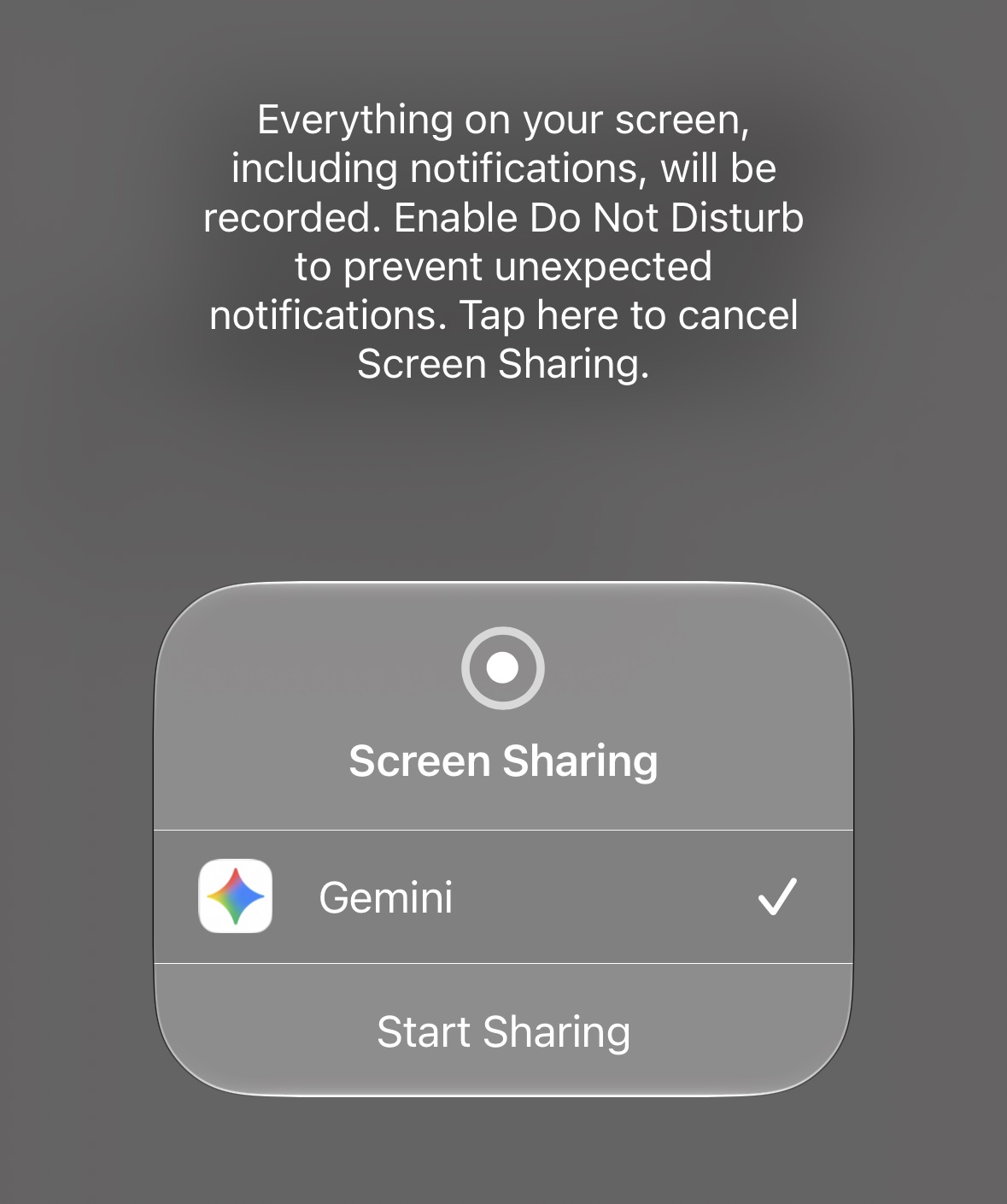 Gemini Live 使用界面截图